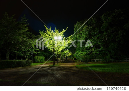 Sea View Park tree-lined street at night 130749628