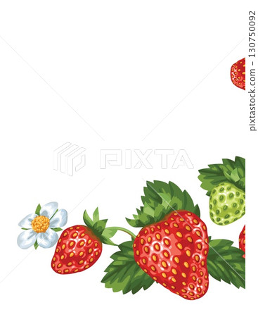 delicious strawberries with green leaves and white flowers on a white background 130750092
