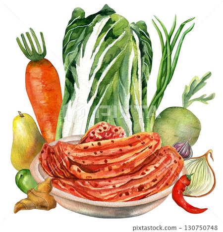 Vegetables for kimchi watercolor composition on transparent background. Chinese cabbage, onion, ginger, carrot, daikon and pepper. For kimchi design, recipes and cards  130750748