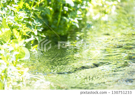 Fresh greenery in the forest, clear streams, and eco-friendly imagery - Jizo Falls Fountain Fresh greenery in the forest, clear streams, and eco-friendly imagery - Jizo Falls Fountain 130751233