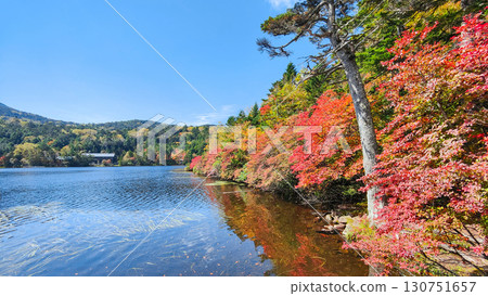 秋天的白駒池 130751657