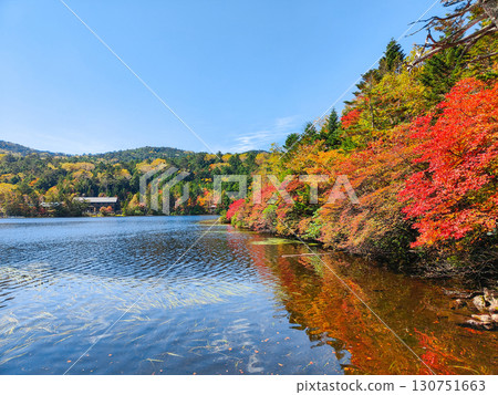 秋天的白駒池 130751663