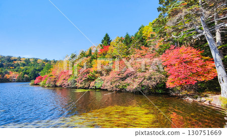 秋天的白駒池 秋天的白駒池 130751669