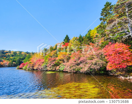 秋天的白駒池 130751686