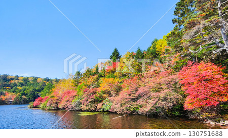 Shirakoma pond in autumn 130751688