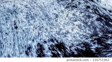 Snowflakes on a black background 130751962