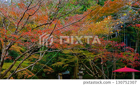 秋葉寺廟 130752307