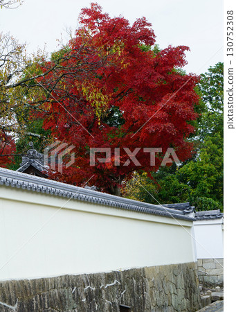 秋葉寺廟 130752308