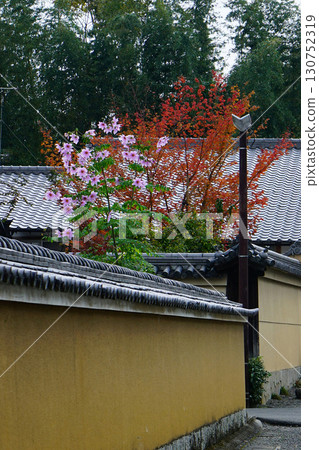 Temple of autumn leaves 130752319