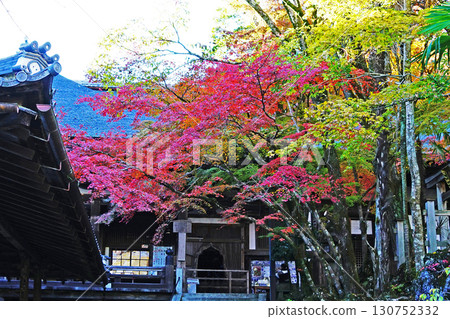 秋葉寺廟 130752332