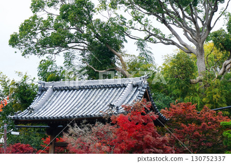 Temple of autumn leaves Temple of autumn leaves 130752337