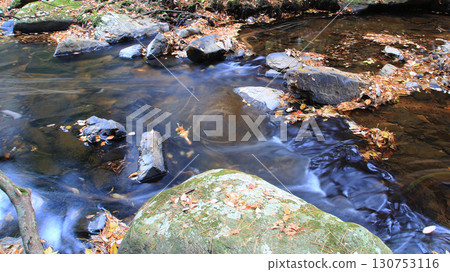 Rurikei Kyoto Prefecture 130753116