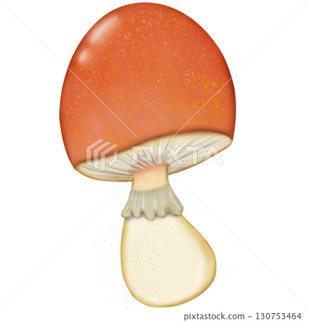 Colorful illustration of pumpkins and autumn leaves in warm shades and element perfect for seasonal decorations and fall themes.  130753464