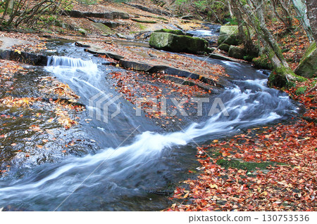 Rurikei Kyoto Prefecture Rurikei Kyoto Prefecture 130753536