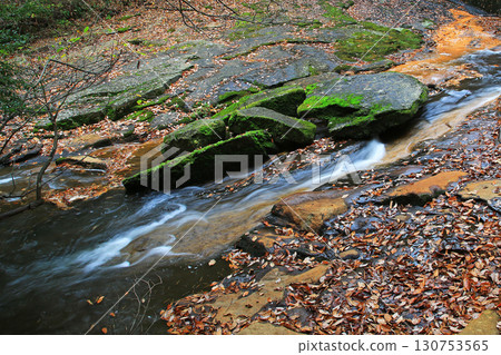 Rurikei Kyoto Prefecture Rurikei Kyoto Prefecture 130753565