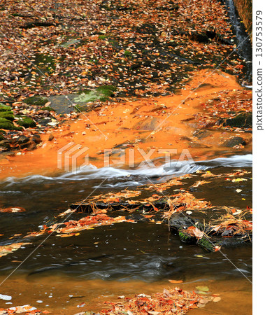Rurikei Kyoto Prefecture 130753579