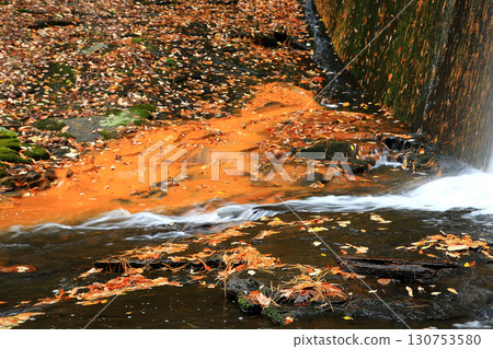 Rurikei Kyoto Prefecture Rurikei Kyoto Prefecture 130753580