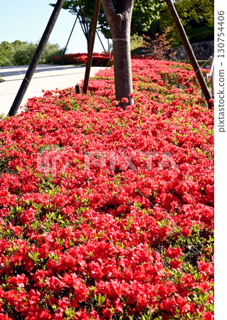 Aina no Sato Park in early summer 130754406