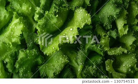 Lettuce green closeup leaves and red tomato pattern vegetable agriculture background 130754515