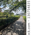 Lush summer walking path 130754835