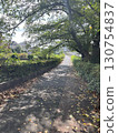 Lush summer walking path 130754837