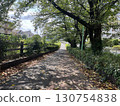 Lush summer walking path 130754838
