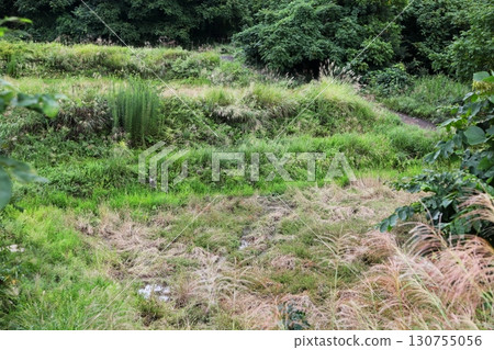 Abandoned rice paddies in the mountains Abandoned rice paddies in the mountains 130755056