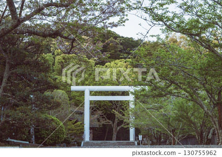 千葉縣阿波神社（立山市） 130755962