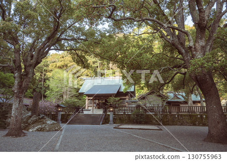 千葉縣阿波神社（立山市） 130755963