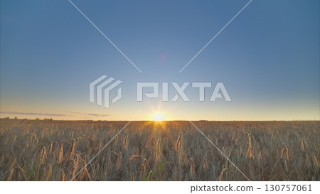 A Breathtaking Sunrise Unfolds Over a Calm and Serene Field, Capturing the Beauty of Nature 130757061