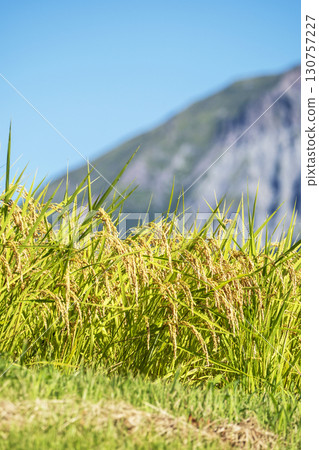 Tottori rice and Oku-Daisen 130757227