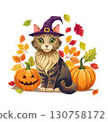 Halloween cat 130758172