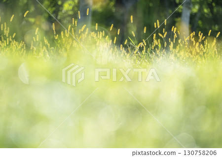 高原的紅葉：奧大山 130758206