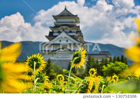 從向日葵田看勝山城 130758306