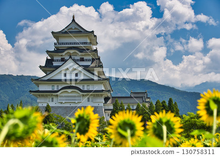Katsuyama Castle from the sunflower field Katsuyama Castle from the sunflower field 130758311