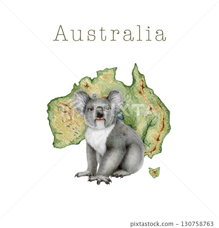 Koala in front of map of the Australia continent hand drawn vintage style illustration on white background. Australian native marsupial wildlife bush animal country symbol 130758763