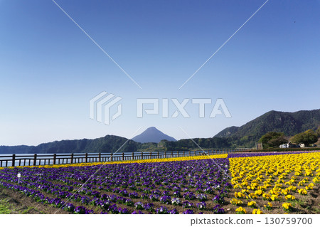 Lake Ikeda and Mount Kaimon, Kagoshima Prefecture Lake Ikeda and Mount Kaimon, Kagoshima Prefecture 130759700