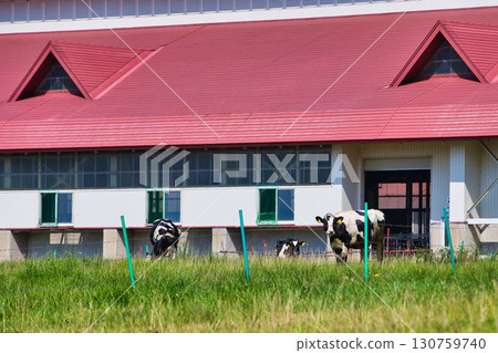 夏季的六鹿高原 夏季的六鹿高原 130759740
