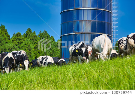 夏季的六鹿高原 130759744