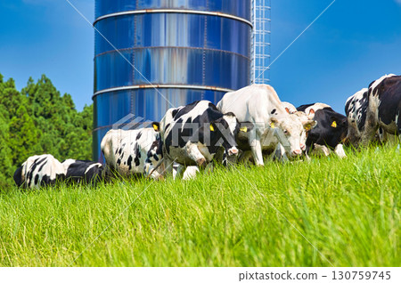 Rokuroshi Plateau in summer 130759745