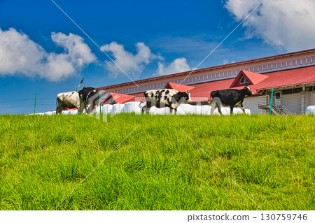 Rokuroshi Plateau in summer 130759746