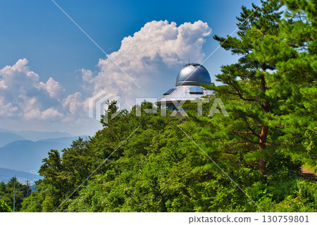 夏季的六鹿高原 130759801