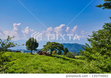 Rokuroshi Plateau in summer Rokuroshi Plateau in summer 130759802