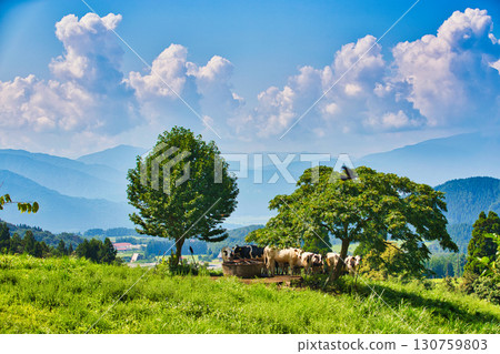 Rokuroshi Plateau in summer 130759803
