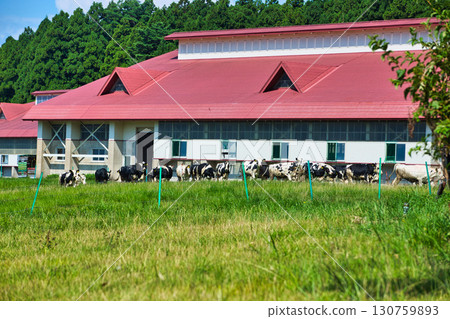 Rokuroshi Plateau in summer 130759893