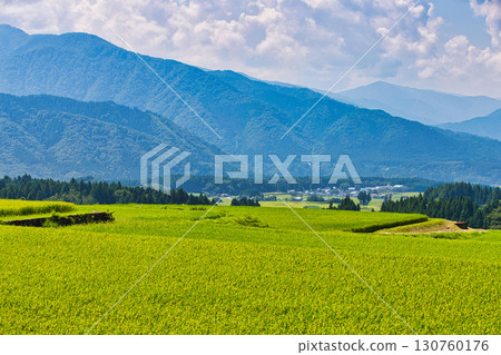 Satoyama的夏天 130760176