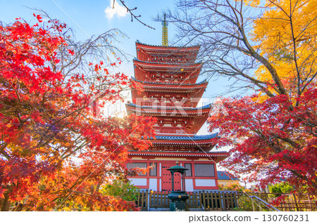 The five-story pagoda of Hondoji Temple and autumn leaves 130760231