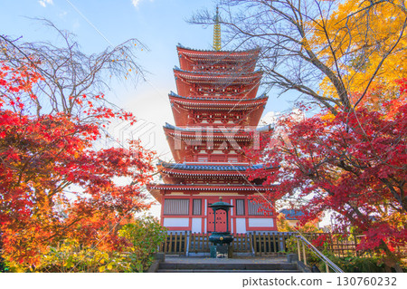 The five-story pagoda of Hondoji Temple and autumn leaves 130760232