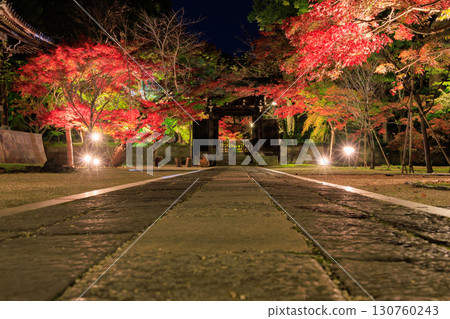 Illuminated autumn leaves and the Chujakumon Gate of Tozenji Temple 130760243