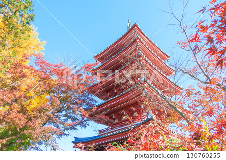 本堂寺五重塔與秋葉 本堂寺五重塔與秋葉 130760255